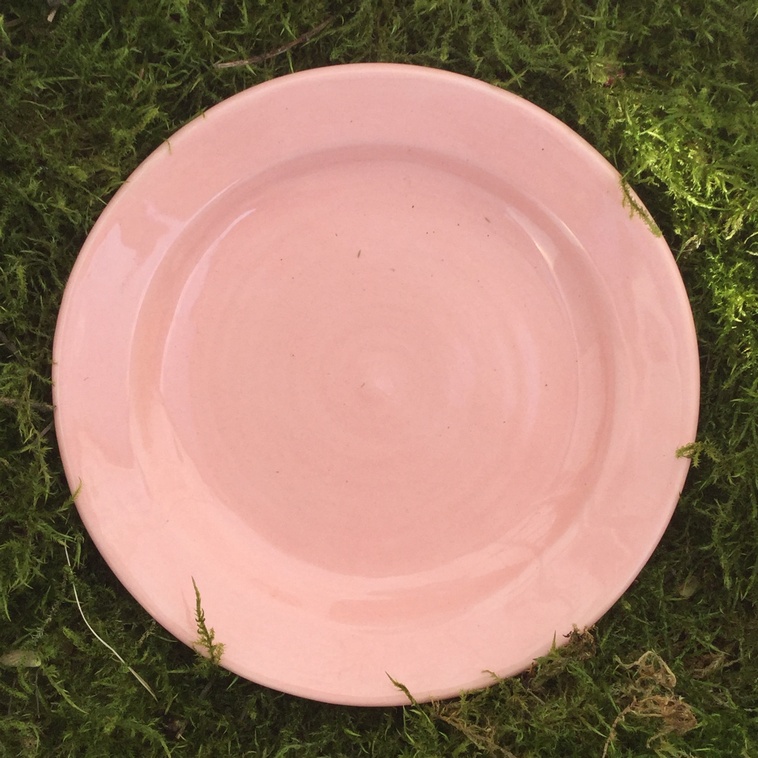Botz-9300-Brush on Glazes 1020° - 1060°C