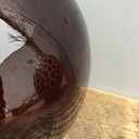 BOTZ, 9100-Brush on Glazes 1020° - 1060°C