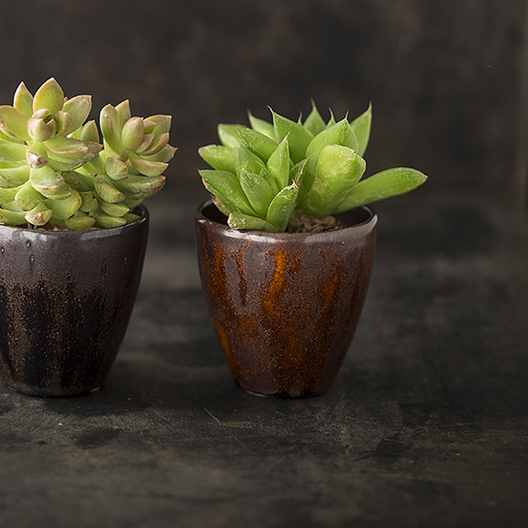 BOTZ, 9200-Brush on Glazes 1020° - 1060°C