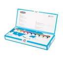 Schmincke, Akademie, Acryl box set, Cardboard 10 x 60 ml